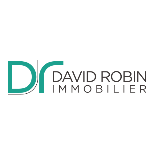 David Robin Immobilier