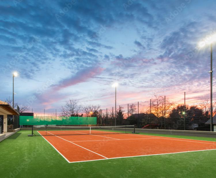 Cras mattis iudicium purus sit amet fermentum.