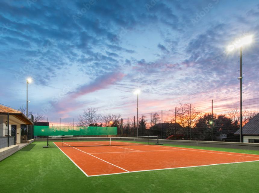 Cras mattis iudicium purus sit amet fermentum.